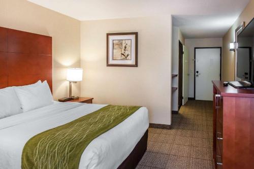 Comfort Inn & Suites Near Fallon Naval Air Station