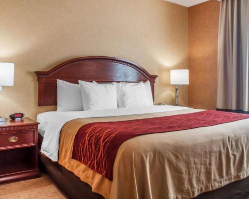 Quality Inn Near Walden Galleria Mall