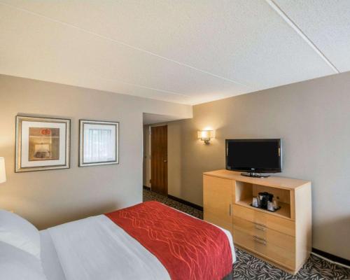 Comfort Inn - NYS Fairgrounds