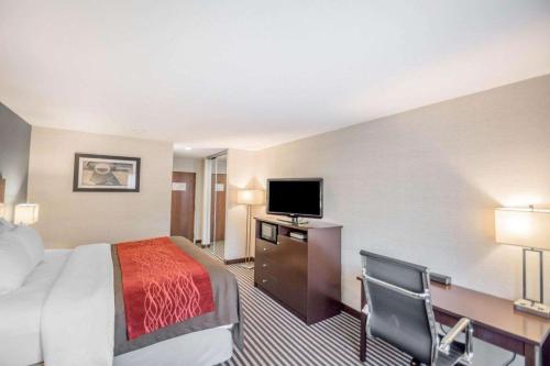 King Room - Non-Smoking