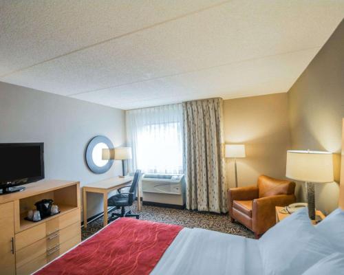 Comfort Inn - NYS Fairgrounds