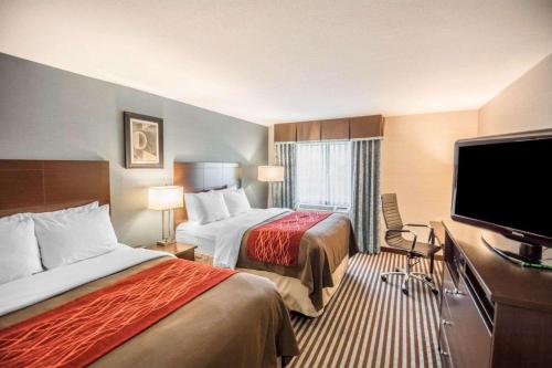 Queen Room with Two Queen Beds - Non-Smoking