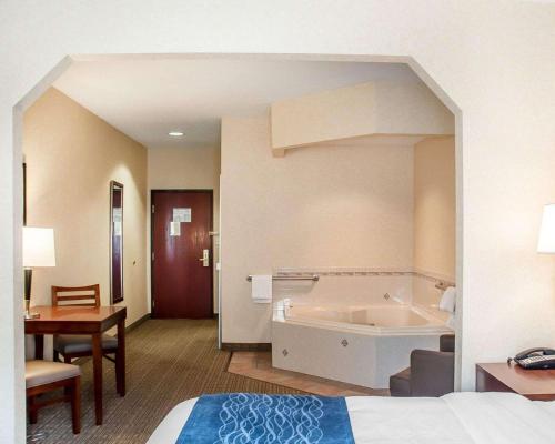 Comfort Inn & Suites Hamburg - image 5
