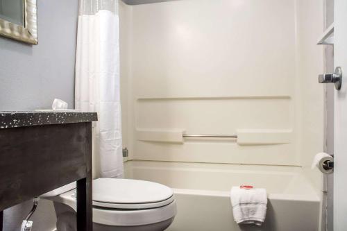 Econo Lodge Brockport - 화장실
