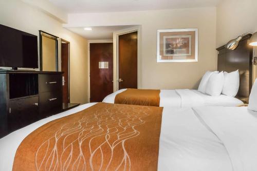 Comfort Inn & Suites LaGuardia Airport