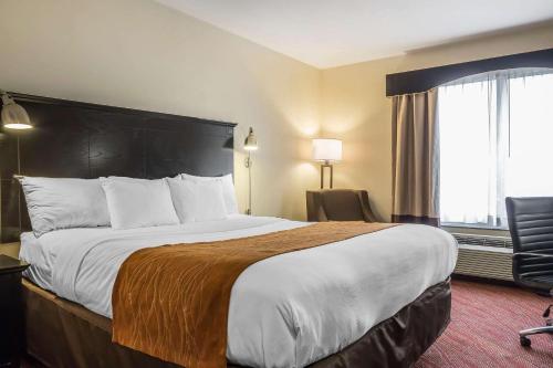 Comfort Inn & Suites LaGuardia Airport