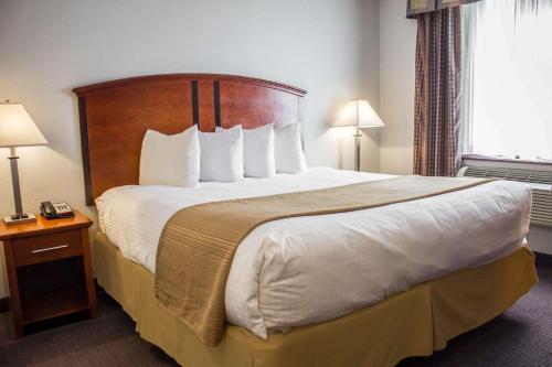 Quality Inn Long Island City - Queensboro Bridge - image 6