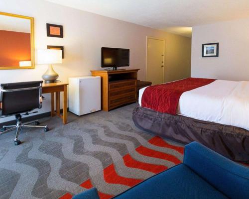 Comfort Inn Suites Airport In Ny