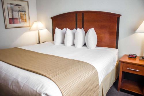 Quality Inn Long Island City - Queensboro Bridge - image 7