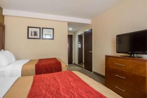 The Staten Island Inn - image 2