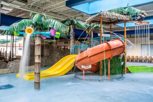 Quality Inn & Suites Palm Island Indoor Waterpark - image 2