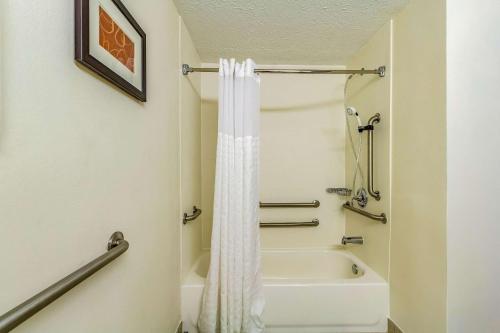 Comfort Inn Independence - image 8