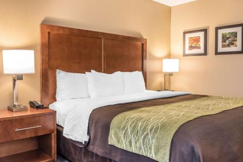 Comfort Inn & Suites Piqua-Near Troy-I75