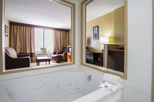 Comfort Inn Downtown Cleveland - main image