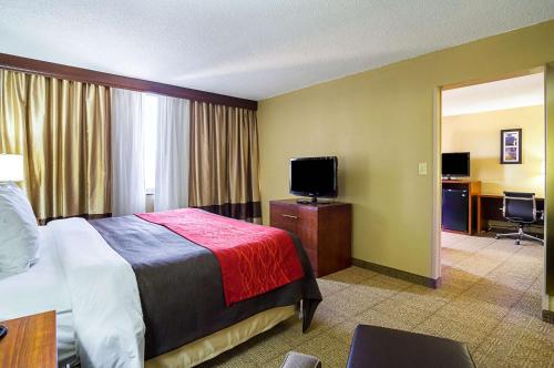Comfort Inn Downtown Cleveland - image 3