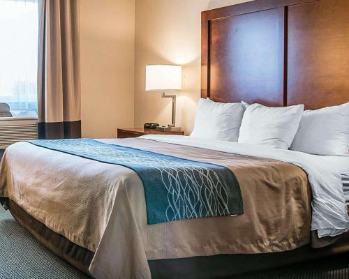 Comfort Inn Bluffton - main image