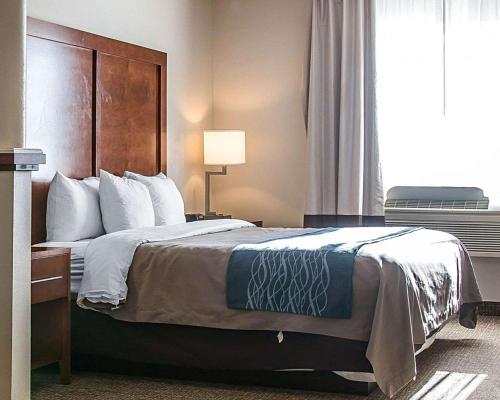 Comfort Inn Bluffton - image 8