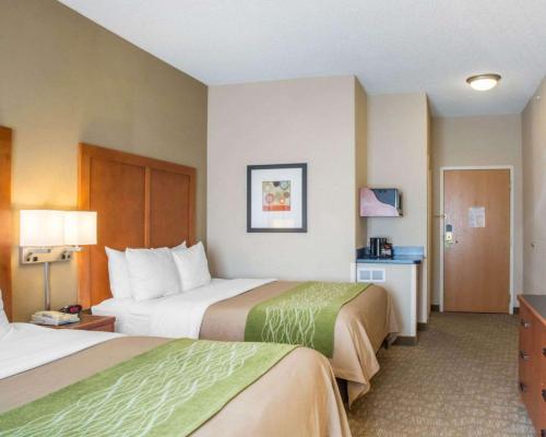 Queen Suite with Two Queen Beds and Sofa Bed - Non-Smoking