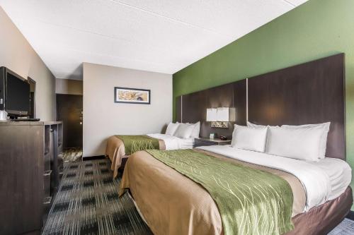 Comfort Inn Cleveland Airport - Hotel - Middleburg Heights