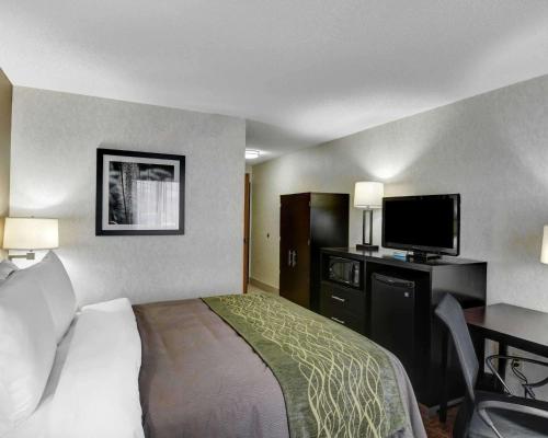 Comfort Inn Painesville