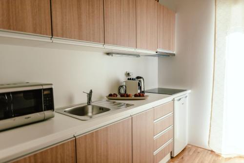 Luxury Apartments Zelny Trh 4