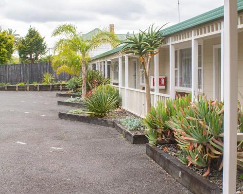 Palm Motel Waihi photo 4