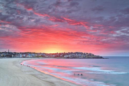 Beach, The Palm House Bondi in North Bondi