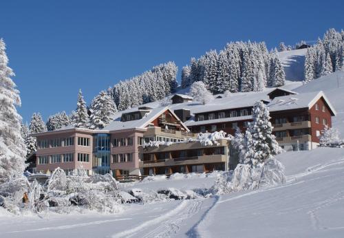Ferien- und Familienhotel Alpina Adelboden - Hotel