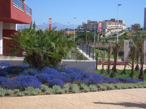 Arenales Playa Mar Holidays - image 4