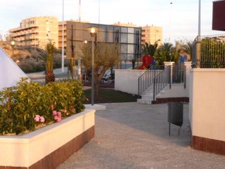 Arenales Playa Mar Holidays - image 9