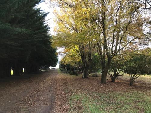 المنطقة المحيطة, Langleys Port Campbell Hobby Farm in أخرى