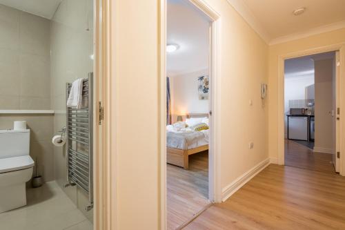 Koala and Tree - BridgeView apartment in the heart of Cambridge ! - image 6