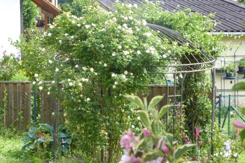 Enzkreisspitze Garten - Apartment - Neuenbürg