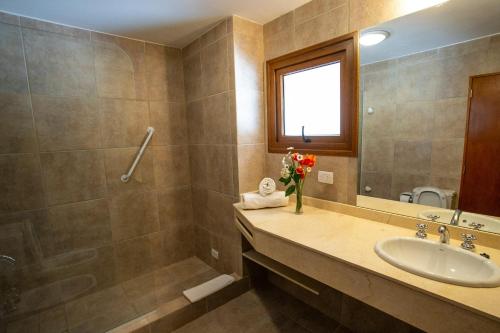 Superior Apartment with Balcony image 1