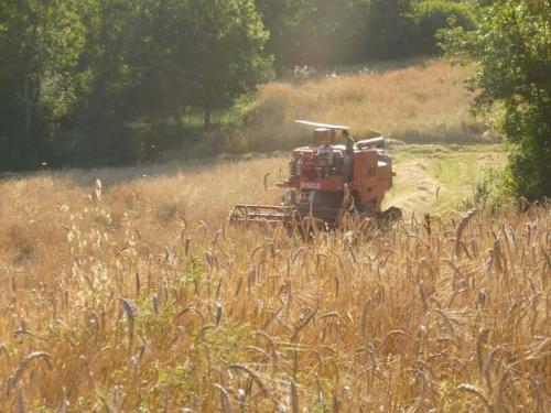 Agriturismo Ristoro del Cavaliere