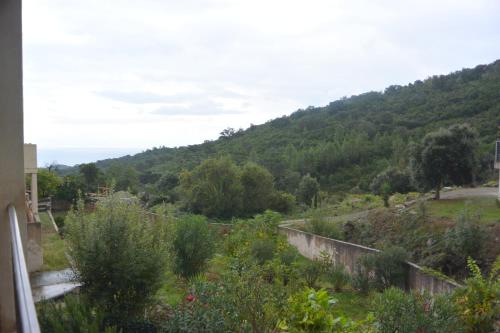 FILETTA - image 8