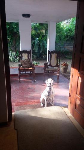 Home FeelHomestay
