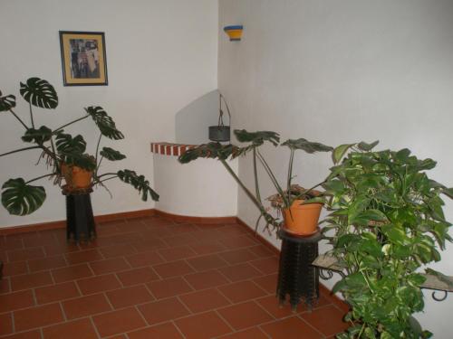 Hotel Passagem do Sol - main image