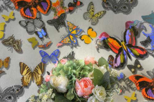 SEVILLA BUTTERFLY SUITES, Sevilla (Foto 10)