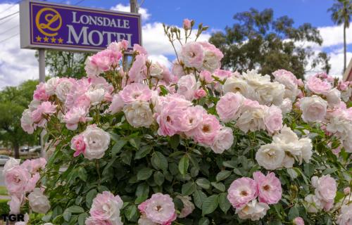 Hamilton Lonsdale Motel