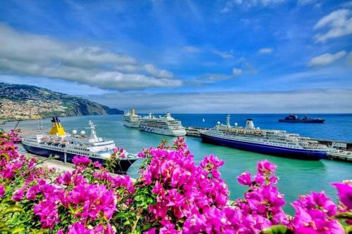 Funchal Gardens Place - image 2