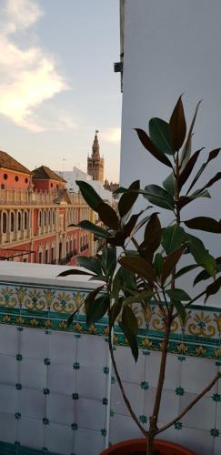 Lux Home - Sierpes Terrace - image 14