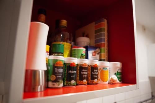 Alte Falknerei - image 12