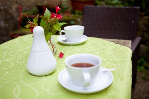 Alte Falknerei - image 13