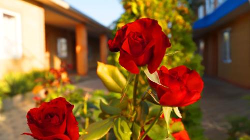 Guest House Lavrio