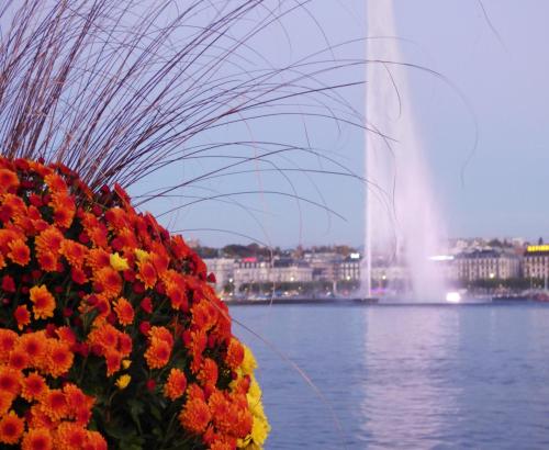 Fraser Suites Geneva - Serviced Apartments - image 3