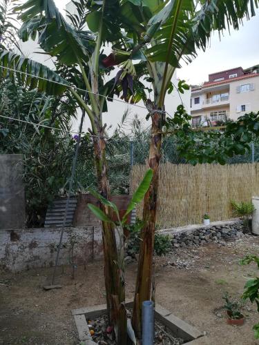 Casa La Terraza