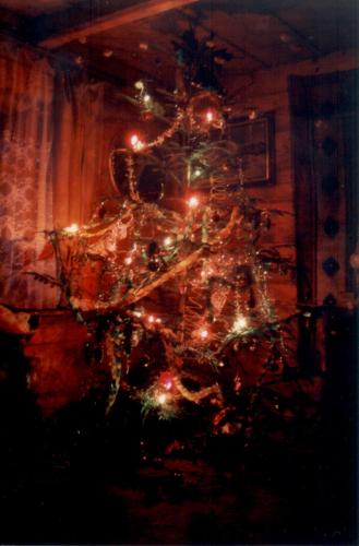 Bacówka w sercu gór - dom z bali w Gorcach Bacówka w sercu gór - dom z bali w Gorcach