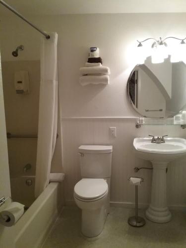 Alaska Country Inn - image 4