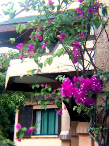 Balkon/Terrasse, M Villa’s Farm Resort in Romblon